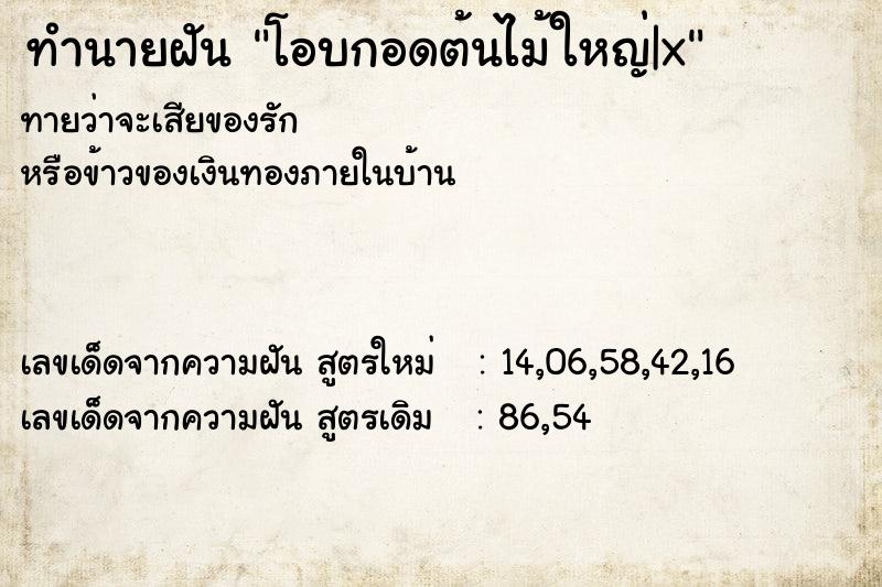 ทำนายฝันโอบกอดต้นไม้ใหญ่|x ทำนายฝันทำนายฝันโอบกอดต้นไม้ใหญ่|x